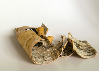 birch bark, bark. white background