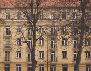 A part of yellow brown building facade with windows and a tree in front of it. Street view...