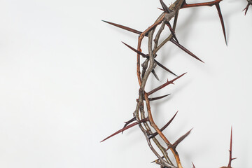 Crown of thorns Jesus Christ isolaten on white