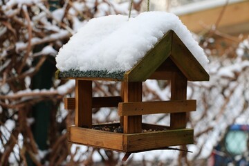 small wooden bird house full of snow is hanging at  a tree in the garden