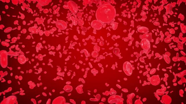 Blood cells moving in the Blood Stream. Erythrocytes flow animation.
