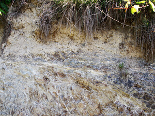 Vulkangestein unter Löss