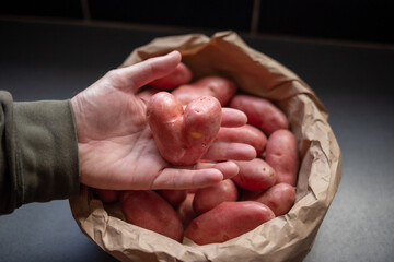 hand holds potato in heart shape, Funny, unnormal vegetable