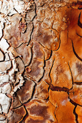 Texture of dry and cracked earth with striking colors on the banks of the Rio tinto.