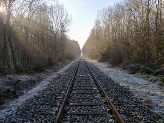 The winter landscape in January
