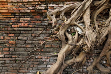 Ancient red brick wall vintage building