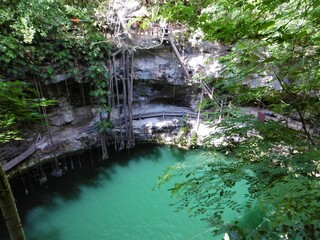 Cenote aux eaux bleues avec ses lianes dans le Yucatan