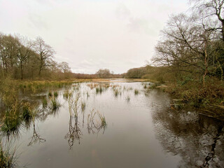 A view of Brown Moss Nature Reserve near Whitchurch in Shropshire