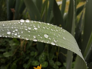 gouttes d'eau