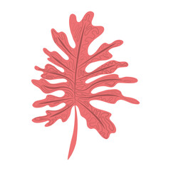 tropical leaf exotic foliage abstract style icon