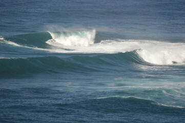 Fototapeta premium BEAUTE