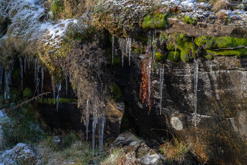 icicles hanging from a river bank