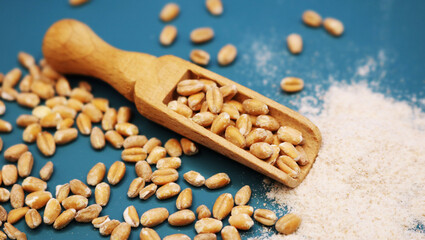 Wooden ladle filled with grains. Wheat grains and flour from them. Bran and grains are scattered on...