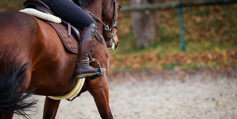 Horse with rider close up of riding boot in stirrup, focus on the boot photographed from behind..