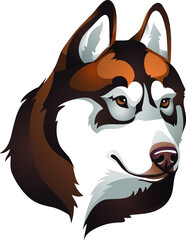 portrait of a dog brown chocolate breed husky breed
Vector illustration for logo 