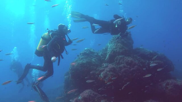 Buceadores haciendo submarinismo atravesando un banco de peces