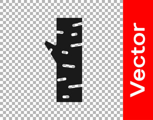 Black Birch tree icon isolated on transparent background. Vector.