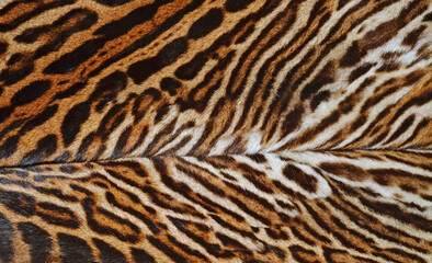 leopard skin texture - 409478802