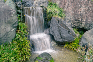 waterfall in the forest