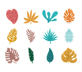 Fototapeta na wymiar tropical leaf foliage exotic nature icon set flat design