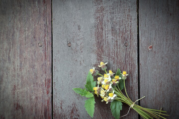 Fototapeta na wymiar Flower are blooming on wood