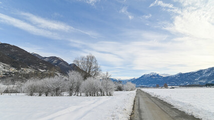 Paesaggio invernale, con la neve, in campagna, con alberi gelati