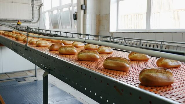 Ready-made bread in the sorting shop. Bakery products. Factory for the production of bakery products. Linear motion