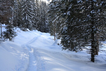 Sentiero segnato dai turisti sulla neve