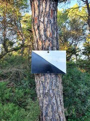 Black and white sign at the forest. Private hunting sign on a tree.
