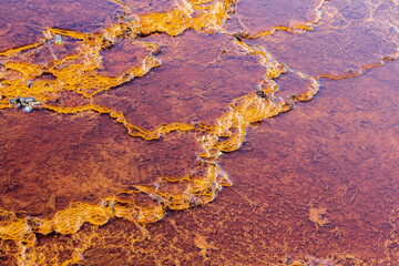 Stromatolites, Rio Tinto river, Andalusia Spain.