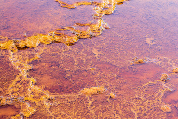 Stromatolites, Rio Tinto river, Andalusia Spain.