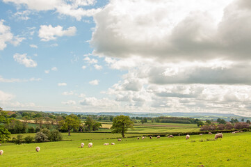 Fototapeta na wymiar Wye valley of Herefordshire, England, in the summertime.