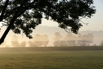 Sunlight breaks through the fog that lies over the rural field in front of the hill in the early morning