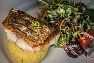 Gourmet garnished grilled salmon with salad mash potato on a white dish wooden table