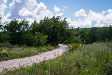 Argentinian routes of brown cow, black bull and calf gravel and dirt between countryside landscapes mountains and mountains of Cordoba Argentina in the vicinity of Characato in summer