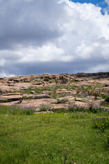 Argentinian routes of brown cow, black bull and calf gravel and dirt between countryside landscapes mountains and mountains of Cordoba Argentina in the vicinity of Characato in summer