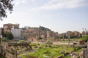 Tourists visiting the Roman Forum
