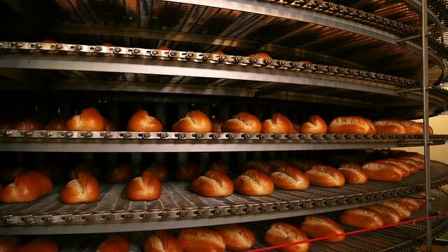 Ready-made bread on the counter. Sorting shop in production. Close-up of the finished product