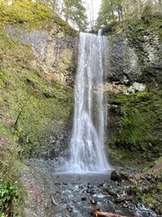 Fototapeta premium Waterfall in nature, Silver Falls State Park, Oregon