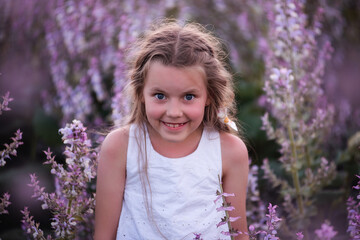 Close-up Portraits of a little girl with long flowing hair in blooming pink sage field. Dreamer blonde in white sundress. Floral background in sunset light. Rest in the countryside. Copy space testure