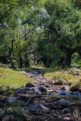Fototapeta premium Argentine gravel and dirt routes between countryside landscapes mountains and mountains of Cordoba Argentina in the vicinity of Characato in summer