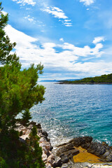 Beautiful Adriatic sea in Croatia. Green pine, rocks, turquois water, vertical photo. Mudri Dolac, Basina bay