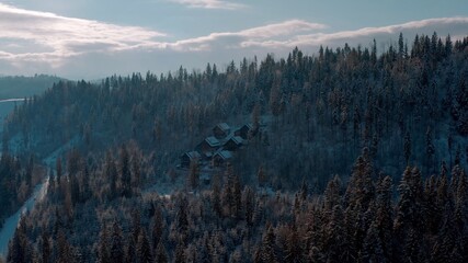 Cozy forest houses hidden in the forest in the mountains