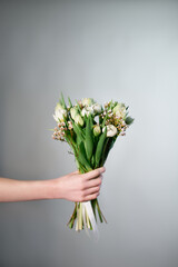 Female hand congratulates with tulip flowers bouquet isolated on gray background. Congratulating, date, Mother's Day or International Woman's Day concept
