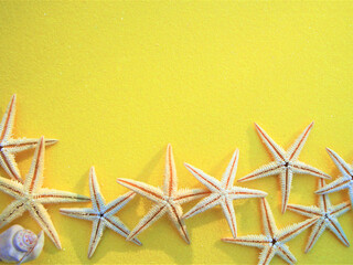 Fototapeta na wymiar Seashells and starfish on yellow background. flat lay. copy space