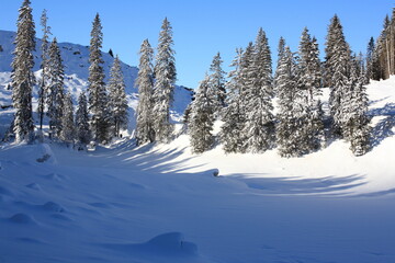 Il lago di carezza ghiacciato 