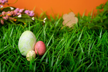 Chicken and quail Easter eggs in meadow grass