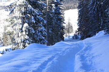 Tracce sulla neve degli escursionisti in montagna.