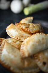 Homemade and vegan mushroom, walnut and leek dumplings. Moody photography