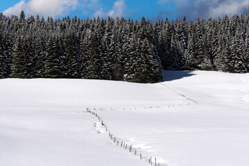 French winter landscapes. Panoramic view of mountain with snow covered firs. Vercors Regional...